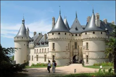 A-t-il trouv&eacute; mieux dans les ch&acirc;teaux des rois de nagu&egrave;re ?