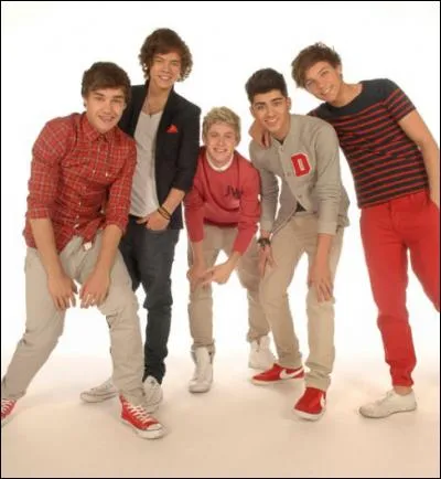 Combien de journaux vidéo d' X factor les 1D ont -ils faits ?