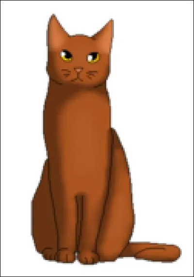 Quel est son nom complet ?