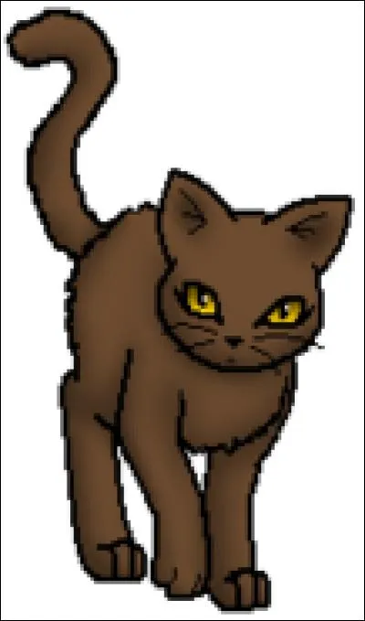 Quel est son physique ?