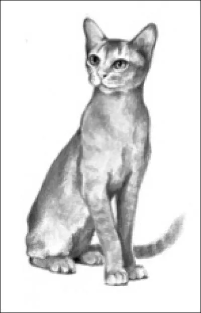 Comment se nommait son tout premier lieutenant, qui était aussi son compagnon ?