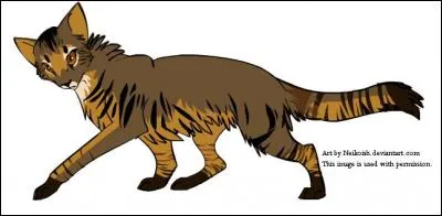 Vent ressemble à un mâle du Clan du Tonnerre, décédé à présent.
Qui est-ce ?