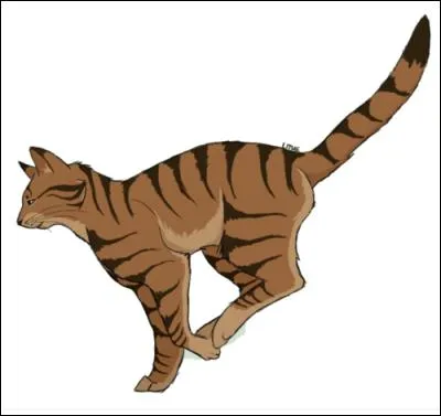 Quel est le septième chef du Clan du Vent ?