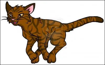 Et quel est le treizième chef du Clan du Vent ?