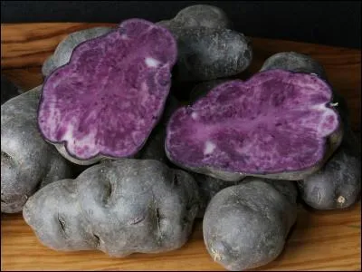 Comment s'appelle cette pomme de terre à la chair violette ?