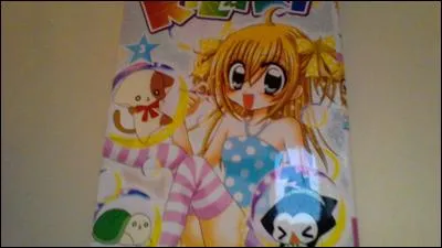 Quel est ce petit chat noir et blanc ?