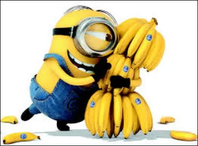 Dans quelle chanson de Louane, les Minions parlent-ils de bananes dans l'une de leur parodie ?