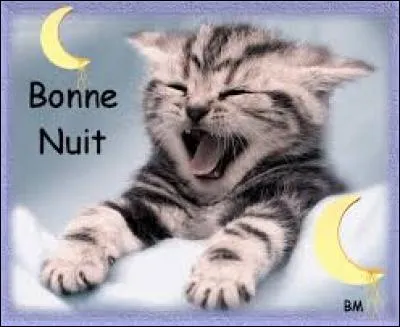 Je vous laisse, bonne soirée et bonne nuit. Je pense que je vais créer de nouveaux quiz plus régulièrement dès que ce maudit TPE blanc sera passé. Faites de beaux rêves ... passez une bonne nuit !