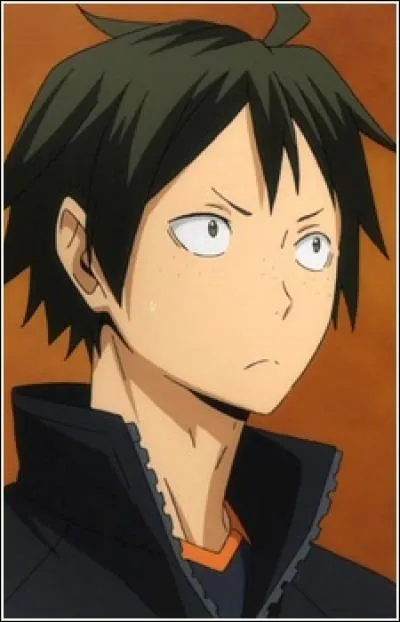 Quel est le seiyuu de Yamaguchi Tadashi (Haikyuu) ?