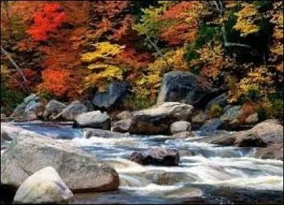 On ne dit plus : ''le Minnesota'' mais...