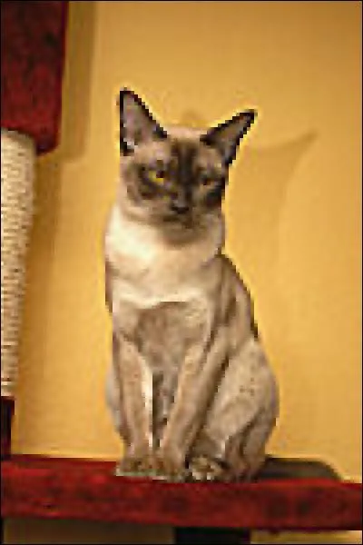 Allez-vous vous reconnaître sa race ?