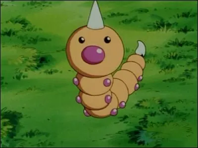 Quel est ce Pok&eacute;mon ?
