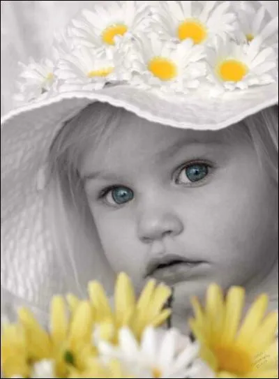 L'instruction scolaire obligatoire pour les enfants peut être faite chez soi.