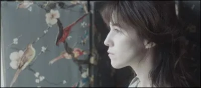 Quel est ce film de Sylvie Verheyde ?