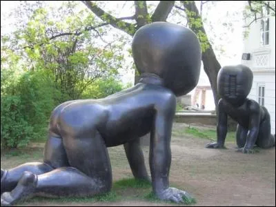 Comment s'appellent les plus étranges bébés qui soient et dans quelle ville peut-on les voir ?