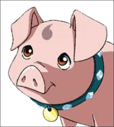 A qui ce cochon appartient-il ?