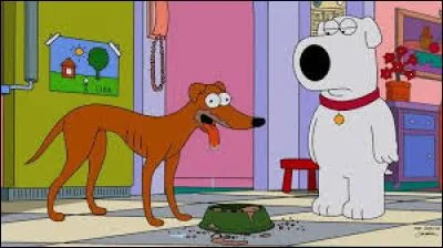 Qui sont ces chiens que tout oppose ?