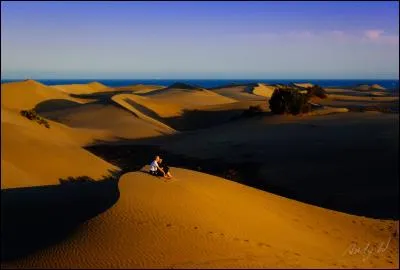 Voici l'une des nombreuses curiosités géologiques de l'archipel : les dunes de Maspalomas. Sur quelle île pourrez-vous les contempler ?