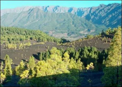 Comment se nomme ce volcan du sud de l'île de La Palma, très surveillé car, en cas d'éruption, pourrait se former un tsunami dévastateur dans tout l'Atlantique Nord ?