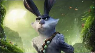 Quel est le nom de ce lapin ?