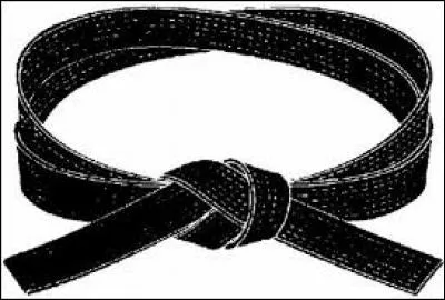 Au judo, à quels grades correspond la ceinture noire ?