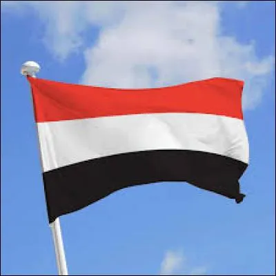 Parmi ces pays, lequel possède la couleur noire sur son drapeau ?