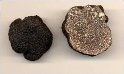 Quel champignon est surnommé "le diamant noir" ?