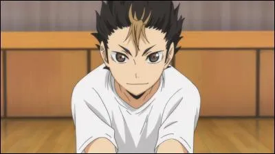 Quel est le rôle de Yû Nishinoya dans Haikyû ?