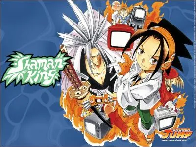 Que doit avoir un shaman pour devenir le Shaman King ?