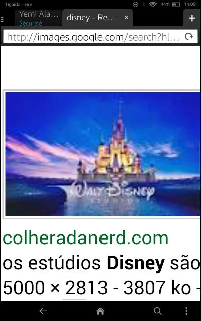 Quelle princesse a perdu sa pantoufle ?