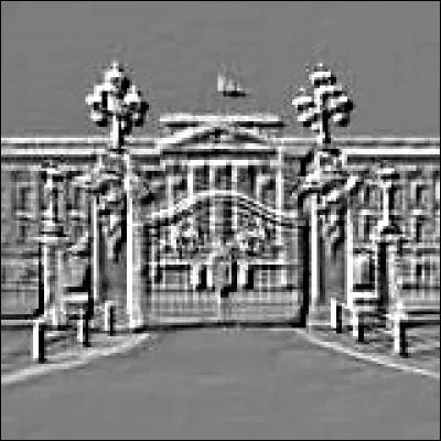 Quel commentaire pourriez-vous associer à cette photo ?