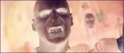 Proposez un titre à cette image.