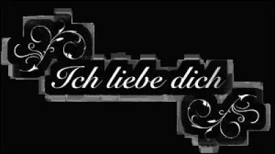 Votre collègue s'occupe de la rubrique "Langues étrangères". Un lecteur vous écrit, mécontent de la traduction donnée de l'image illustrant l'article de langues. Quelle traduction plus exacte donnez-vous ?