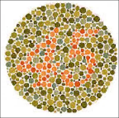 Dans le quiz enfantin concluant le journal, on demande aux lecteurs de distinguer un nombre sur l'image ci-contre/dessus. Mais quel est ce nombre ?