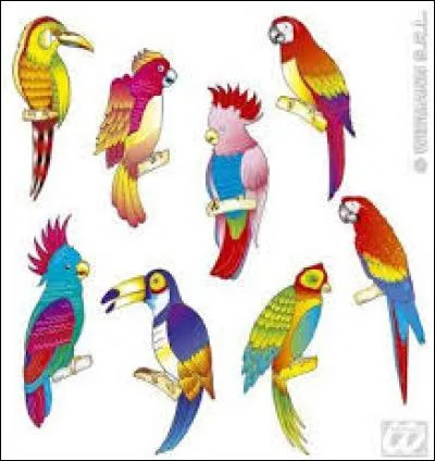 Les grands oiseaux tropicaux sont comparés à des plages de sable blanc plantées dans les palmiers.