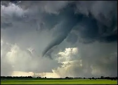 Quel artiste décédé en janvier 2016 a chanté ''Wild is the Wind'' ?