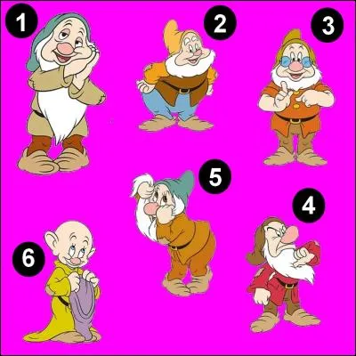 Parmi toutes ces photos, on peut voir celle de grincheux.