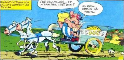 Nos amis d&eacute;bovlent ensvite dans vne avtre ville capitale de la savcisse : laqvelle ?