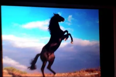 Comment appelle-t-on cette robe ?