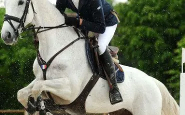 Quiz Galop 1