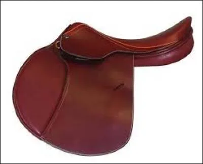 Quelle sorte de selle est-ce ?