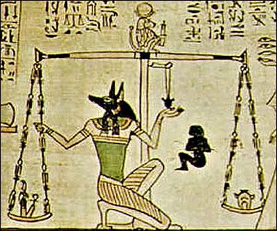 Un rein pèse en moyenne :