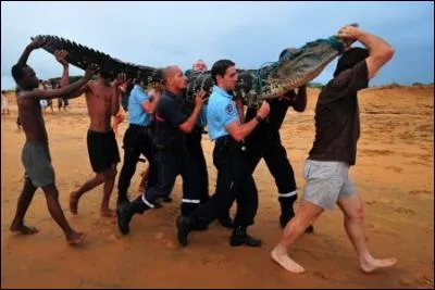 Jambière de cuir ou de toile !