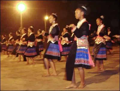 Poisson originaire d'Amérique du Sud, apprécié des aquariophiles !