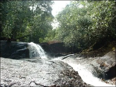 Religieux de l'ordre de Saint-Guillaume de Malavalle, au XIIe siècle !