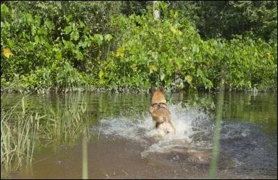 Mélange de ciment et de sable !