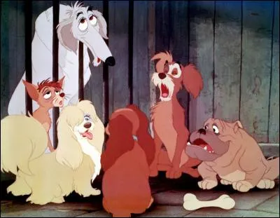 De quel film est tirée cette image ?