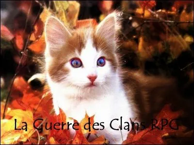 Pourquoi se rend-il seul à la Pierre de Lune ?