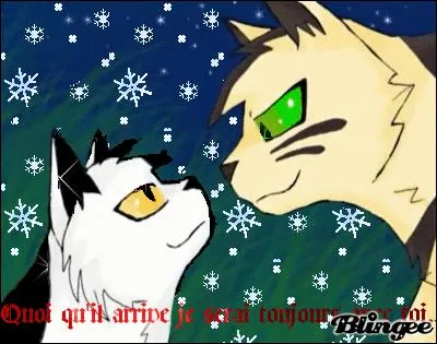 Comment s'appellent les petits de Plume d'Or ?