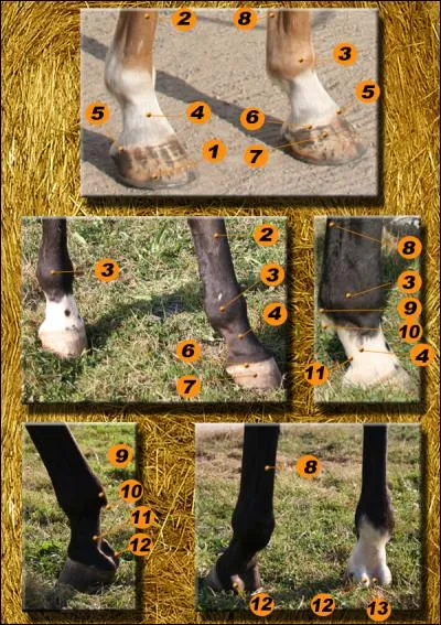 Comment s'appelle la partie 5 ?